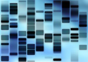 1037189_dna_fingerprint_1.jpg
