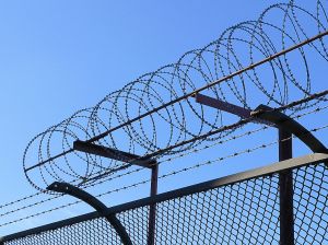 548707_barbed_wire__2.jpg